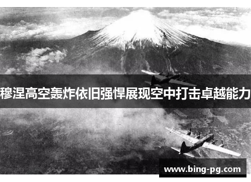 穆涅高空轰炸依旧强悍展现空中打击卓越能力